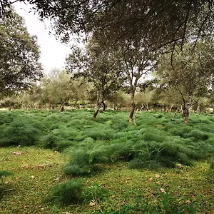 La Fuensanta Villa Hornachuelos